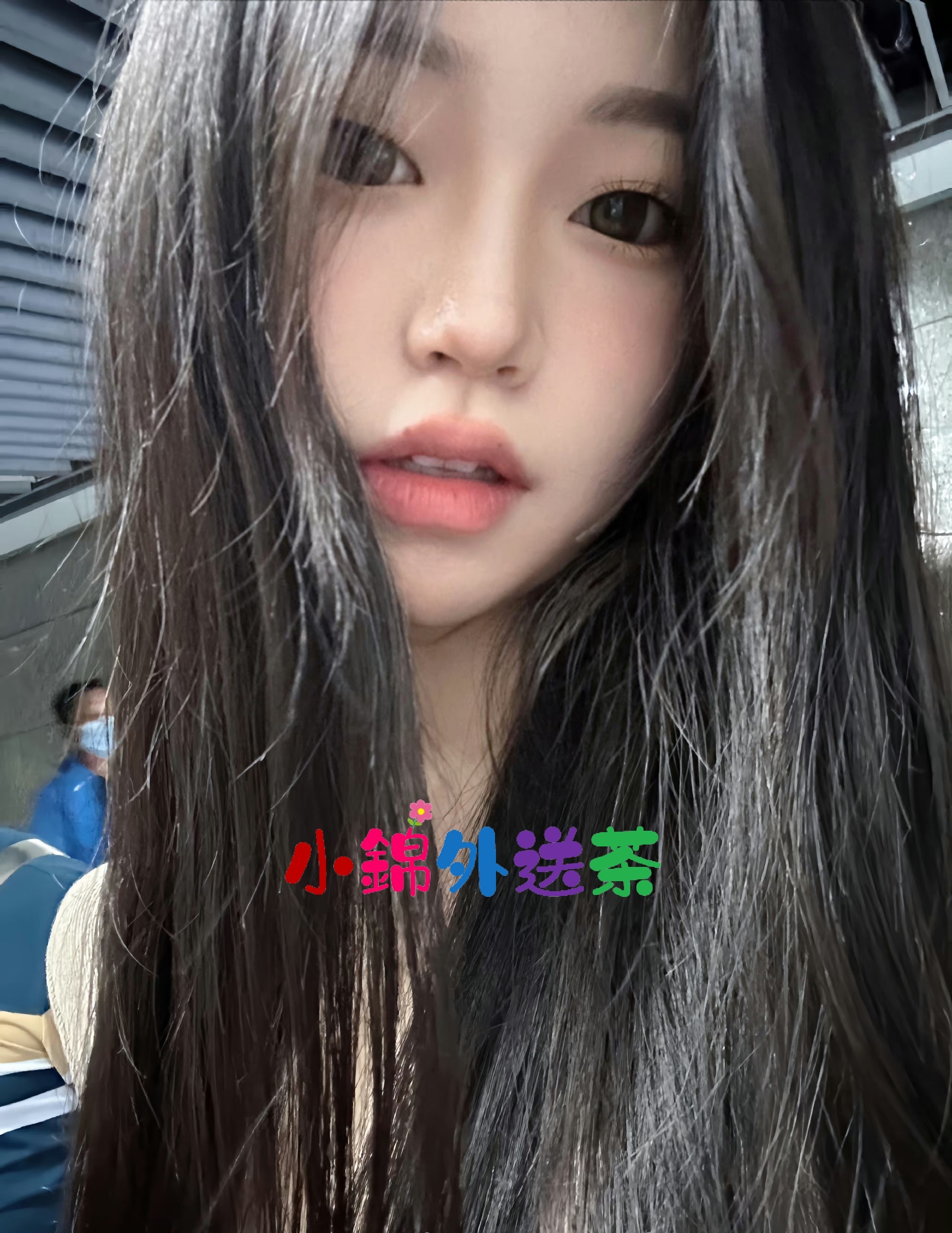 雙北紫薇 (4).jpg