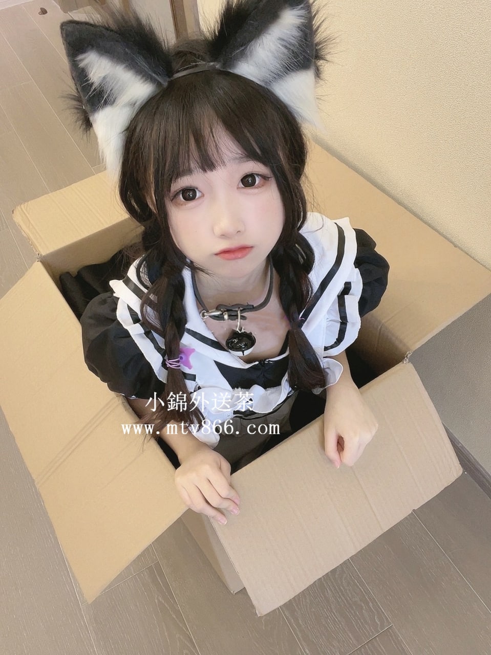 雙北貓貓 (1).jpg